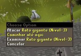 RuneLingual